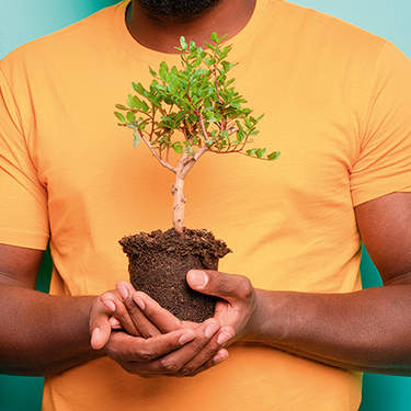 Sustainability
