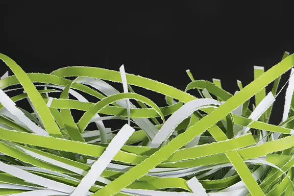 Tiras de papel